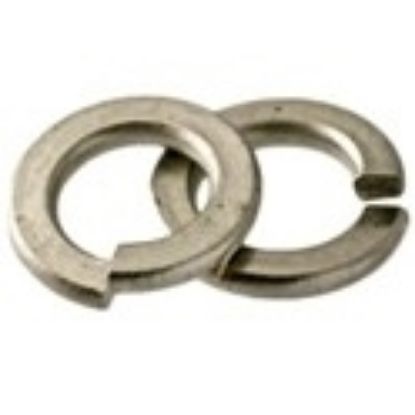 Picture of 6 #6 Split Lock Washer Stainless Steel 316 (Inch)